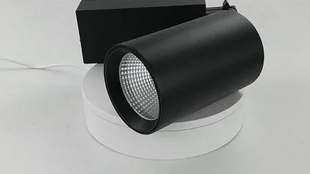 Глобальное трековое освещение 10-ваттные алюминиевые витринные светодиодные фонари Светодиодный трековый светильник